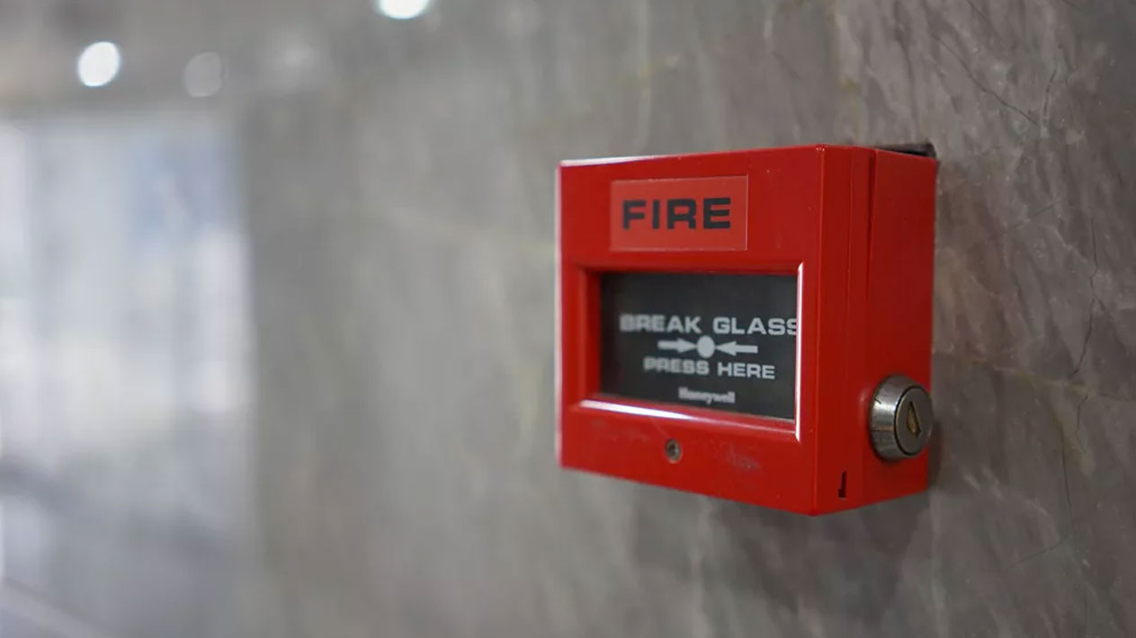 Shree Security It Solutions